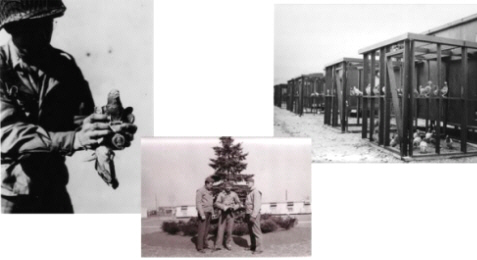 História do pombo correio na 1ª Guerra mundial